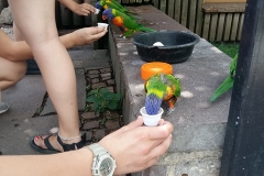 20180620_122600