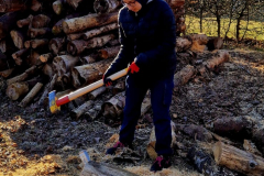 e7003e3a-3d20-401b-a3a4-f82ce5d60465